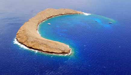 molokini crater snorkel maui snorkeling hawaii island crescent moon diving volcano tour scuba islands reef hawaiian fish dolphins deep