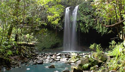 maui waterfall hike tour